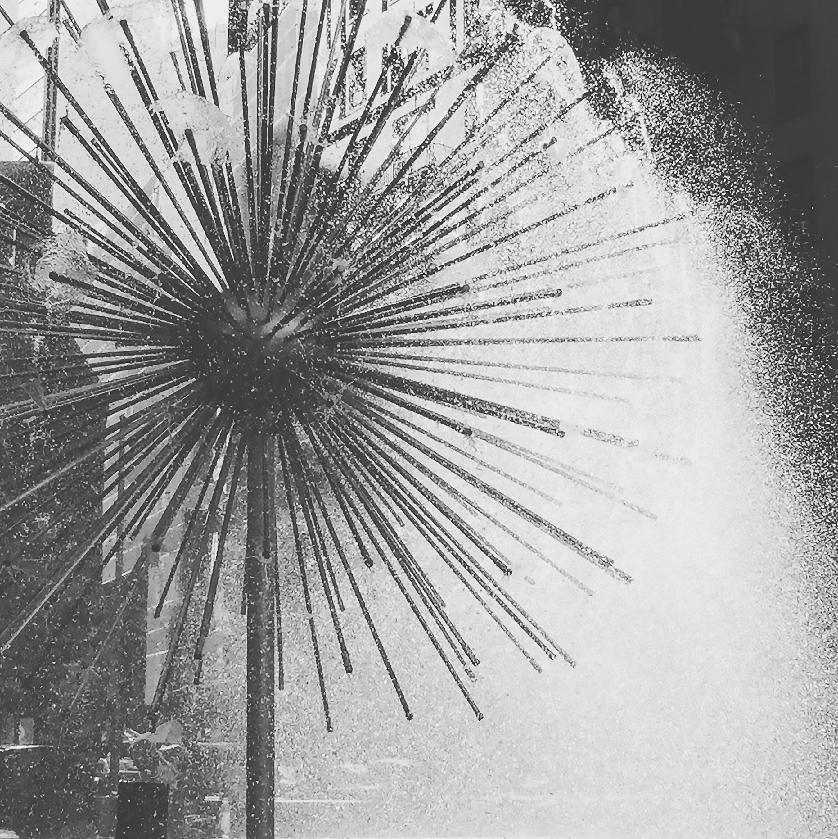 Urban Radiance – Image 8