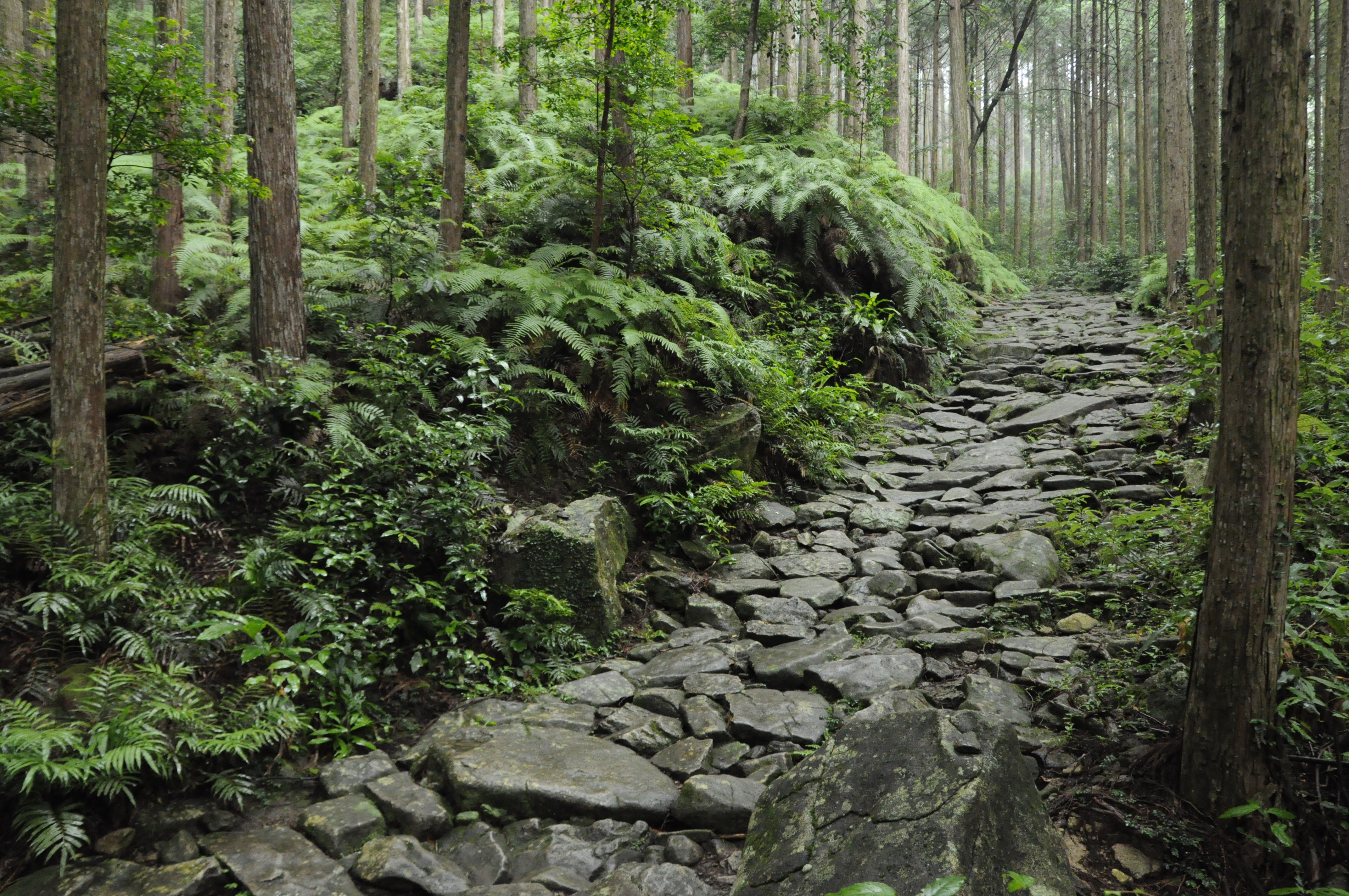 Kumano Kodo