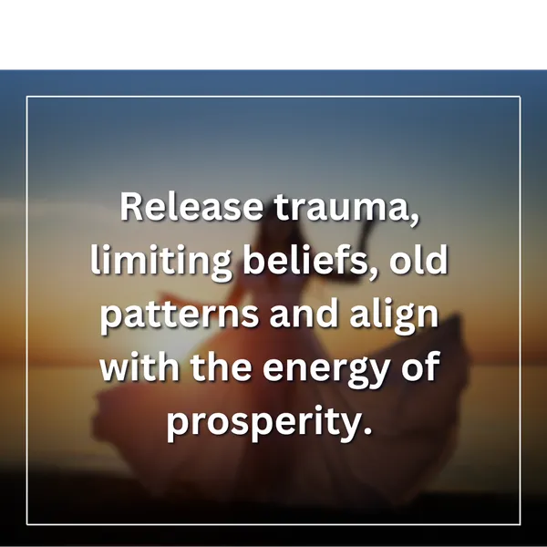 Wealth & Abundance Awakening - Trauma Release Session (Alida Diosa) – Image 3