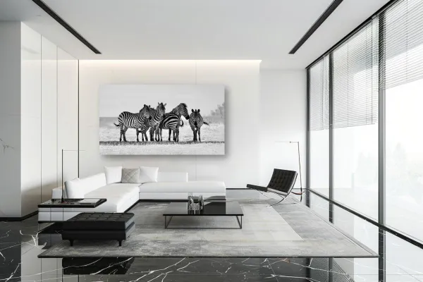Zebra Metal prints – Image 1