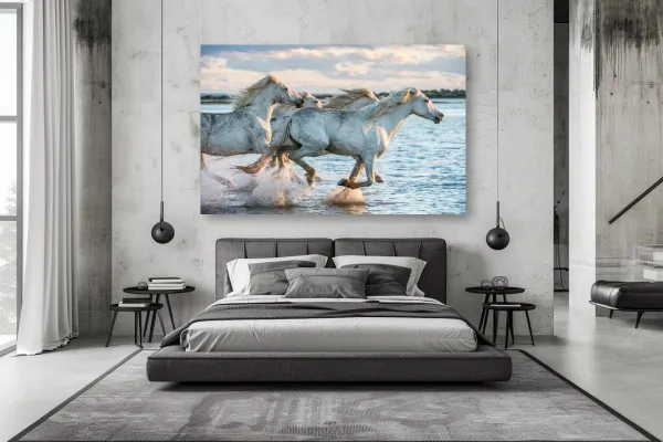 The Wild Unbroken - [Free Shipping] – Image 2