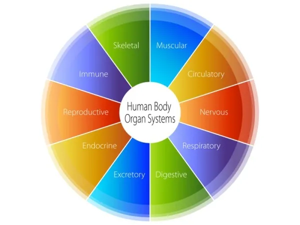 Chronic Illness Solutions