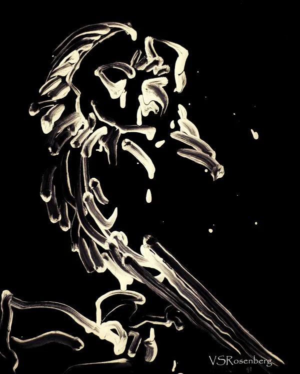 Night Owl – Image 2