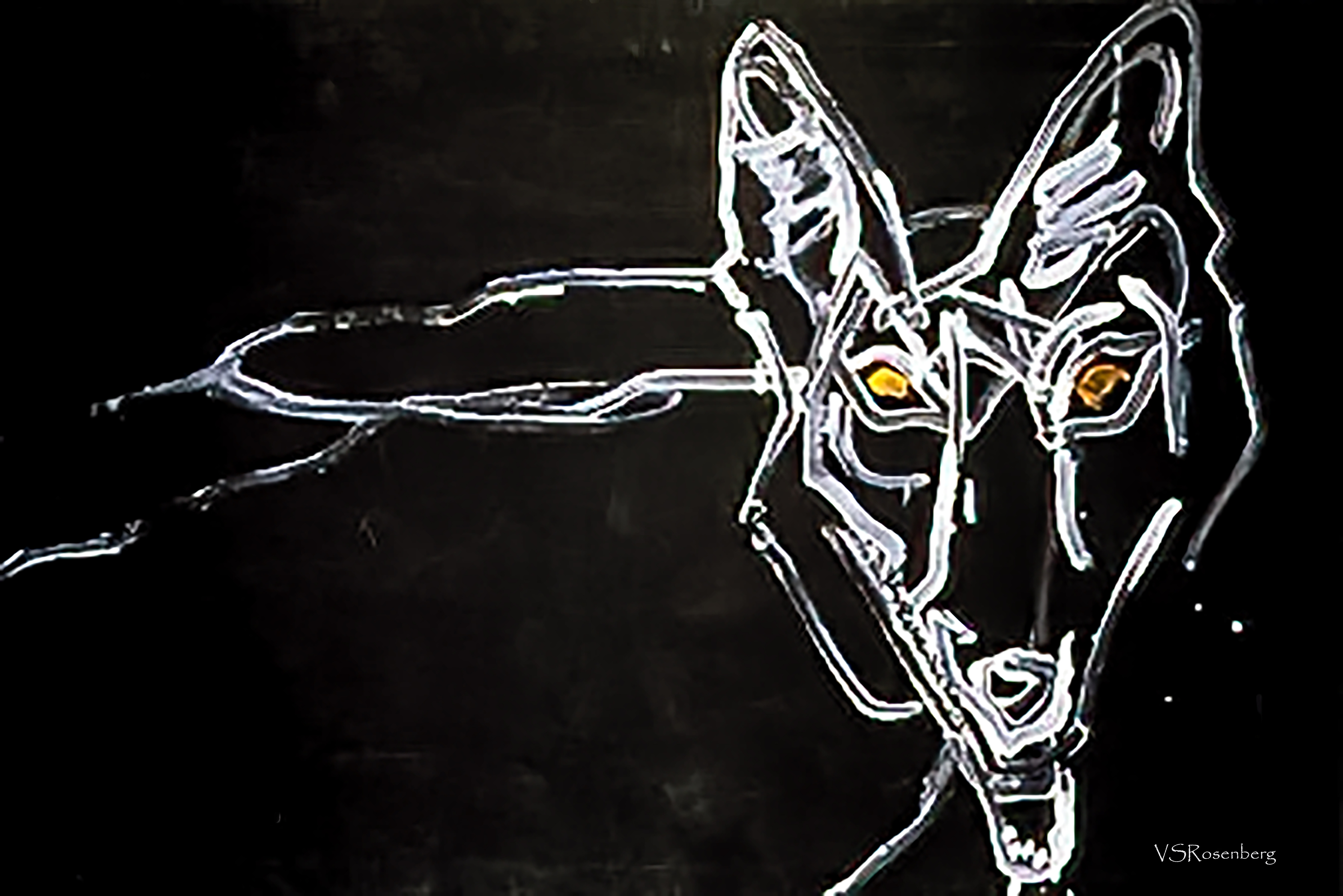 Coyog – Image 2