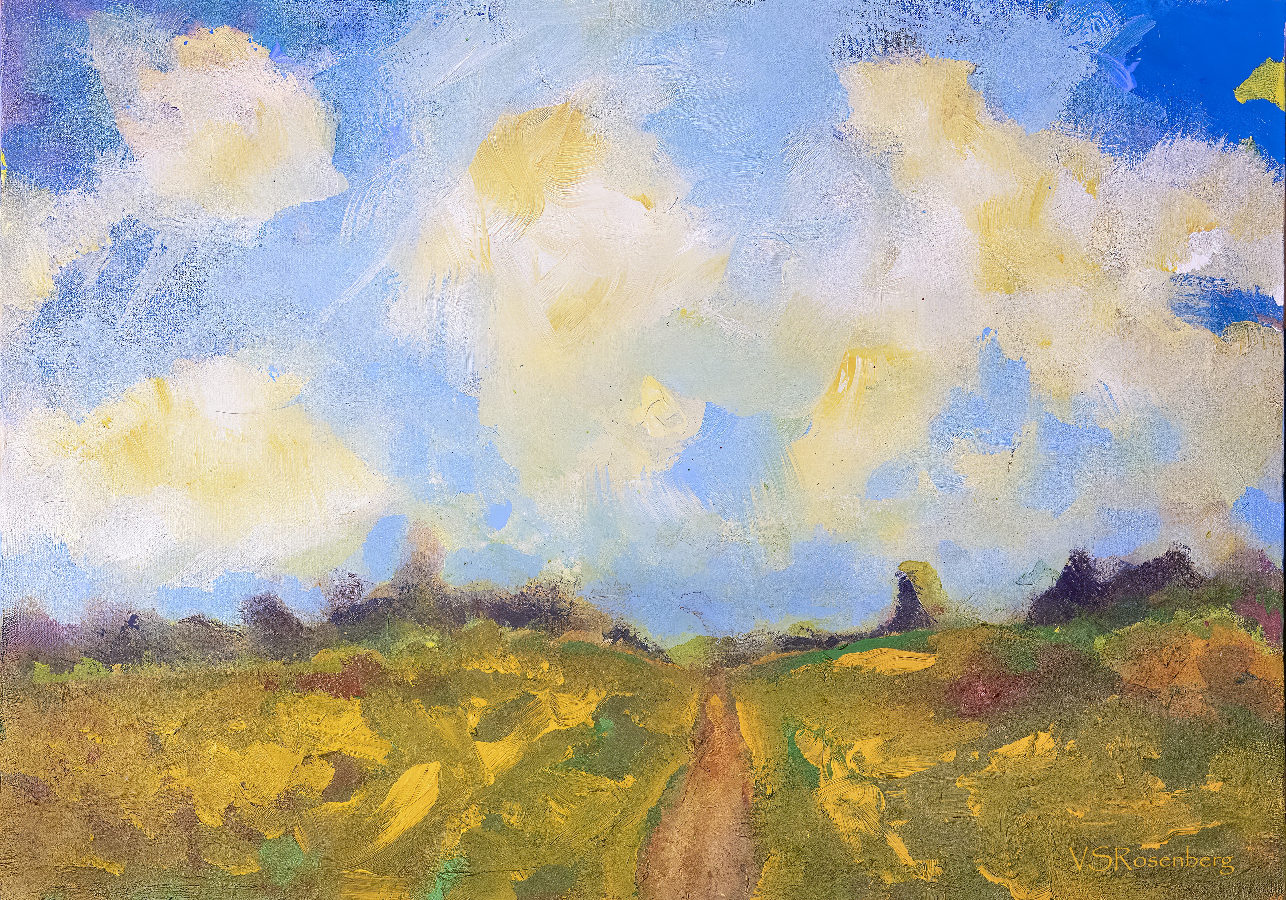 Day Trippin' Through the Sonoran on a Bright, Cloud-Filled, Sunny Day – Image 2