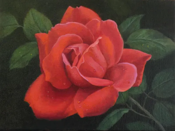 Crimson Jewel – Image 1