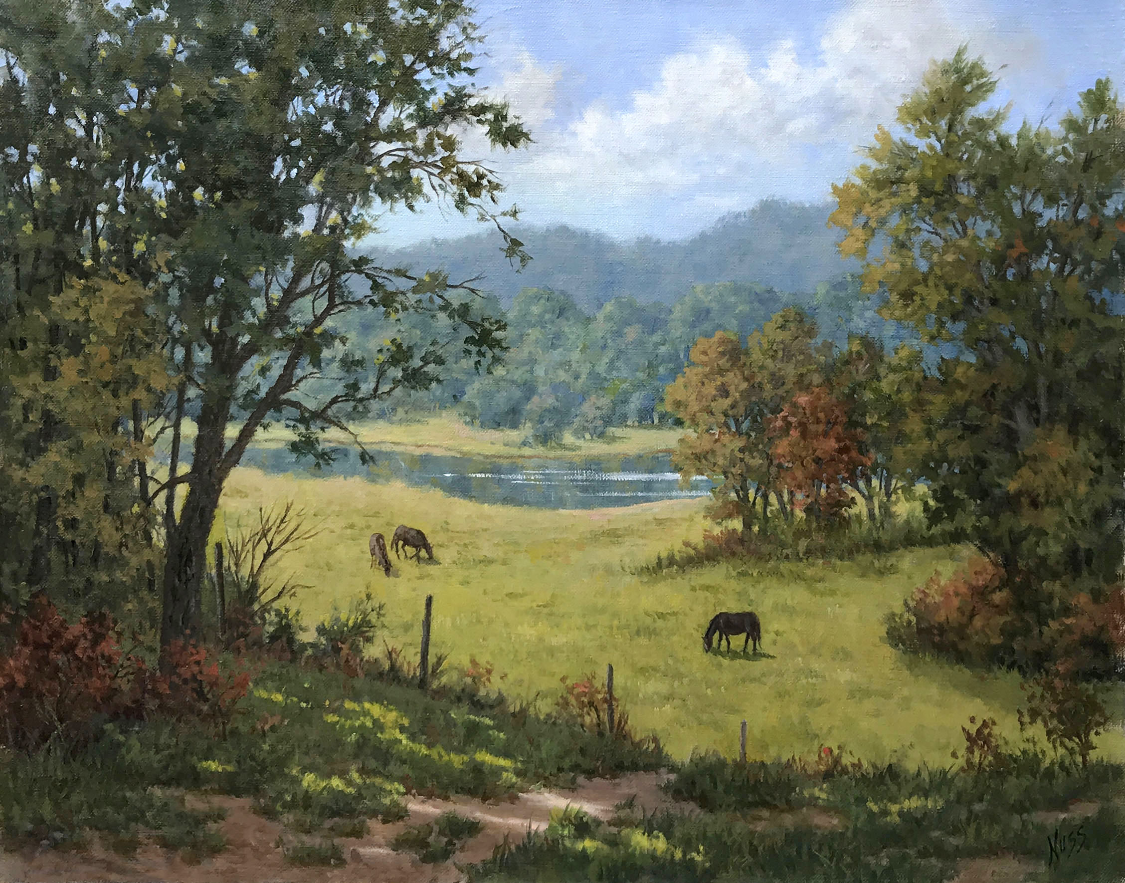 Summer Afternoon – Image 1