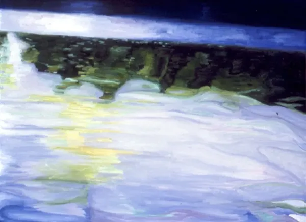 Reflected Trees – Image 2