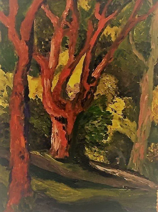 Arboretum – Image 2