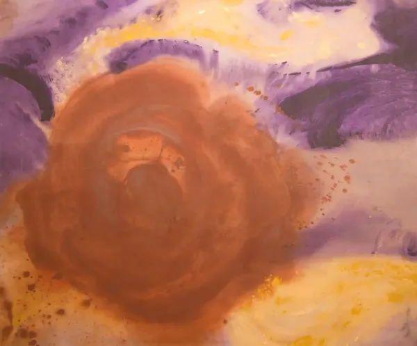 Nova – Image 2