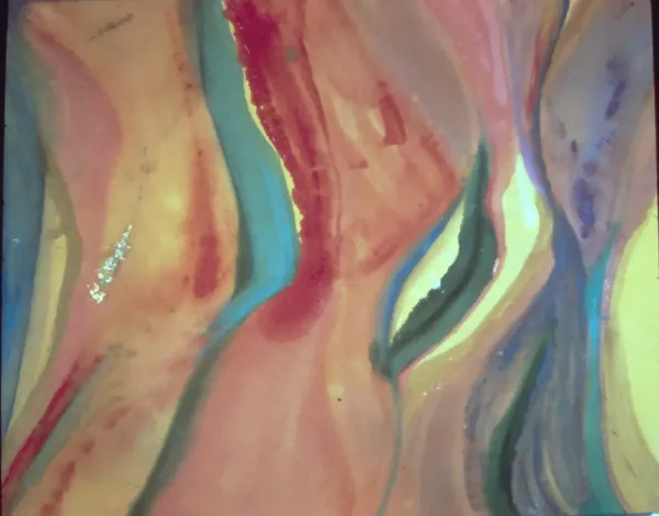 Color Dance – Image 2
