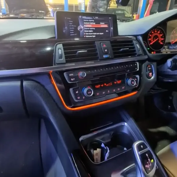Ambient Lighting Upgrade (F30) – Image 2