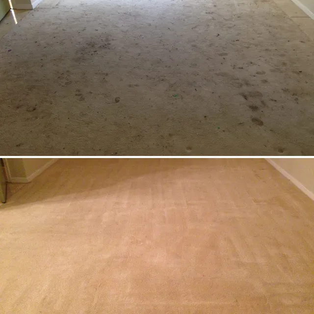 Whole-room carpet before and after professional hot water extraction cleaning in San Jose CA