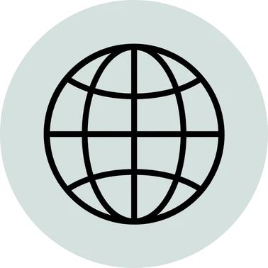 Custom Website icon
