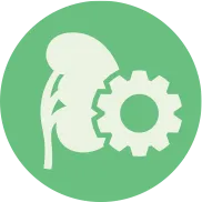 Acute Kidney Disease