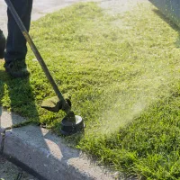 Trim lawn care service