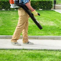 Blow lawn care service