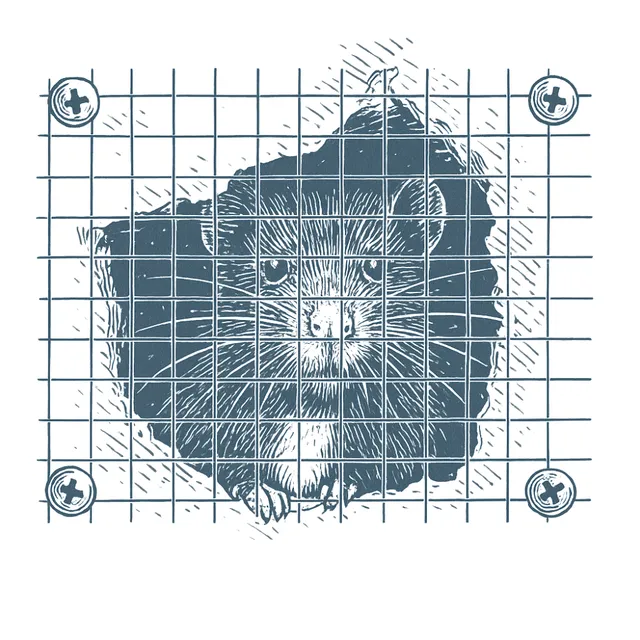 Sketch of rodent exclusion work at a roofline