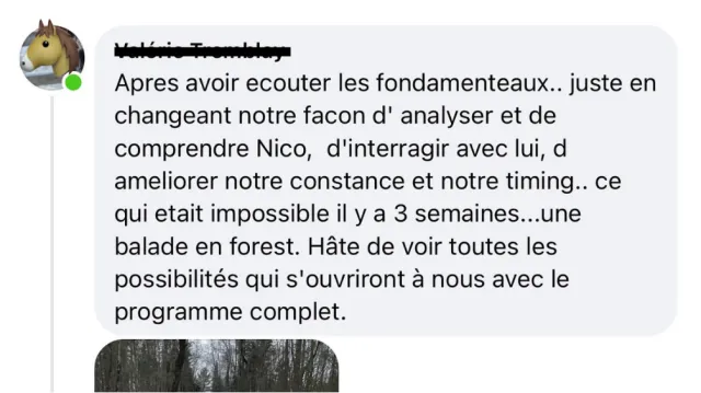 Témoignage d'élève