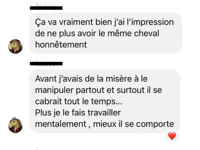 Témoignage d'élève