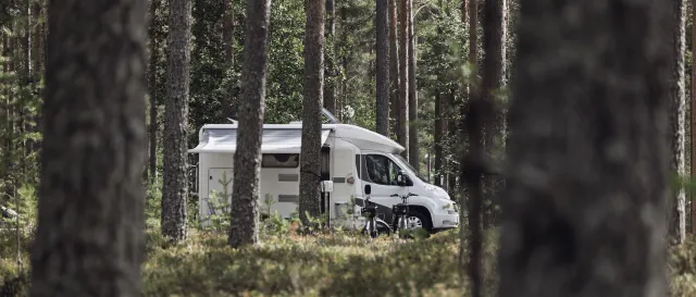 A motorhome parked among forest trees