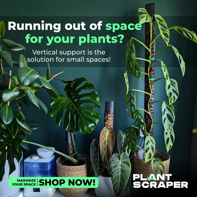 Creatività Plant Scraper - Qualità