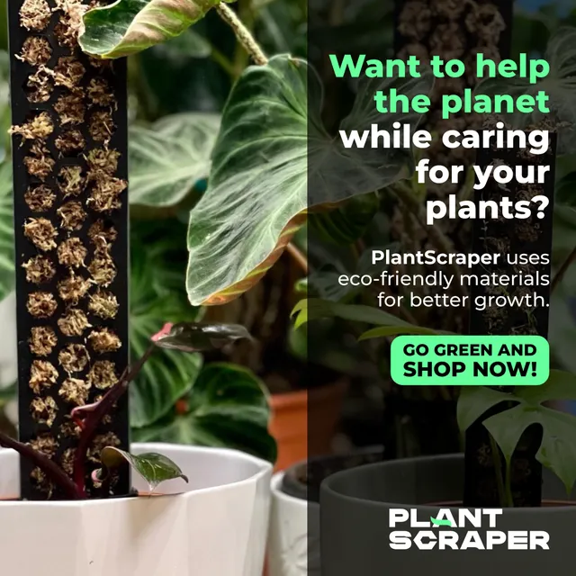 Creatività Plant Scraper - Ecosistema