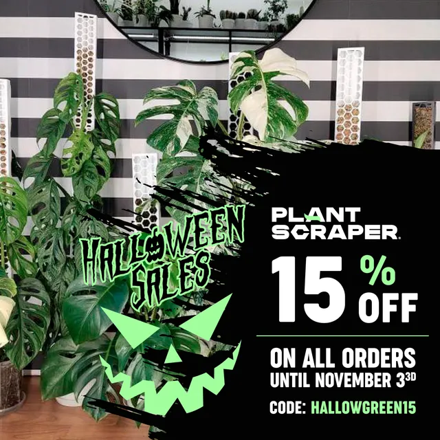 Creatività Plant Scraper - Accessori Trasparenti