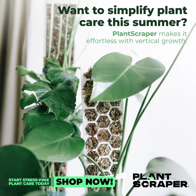 Creatività Plant Scraper - Community