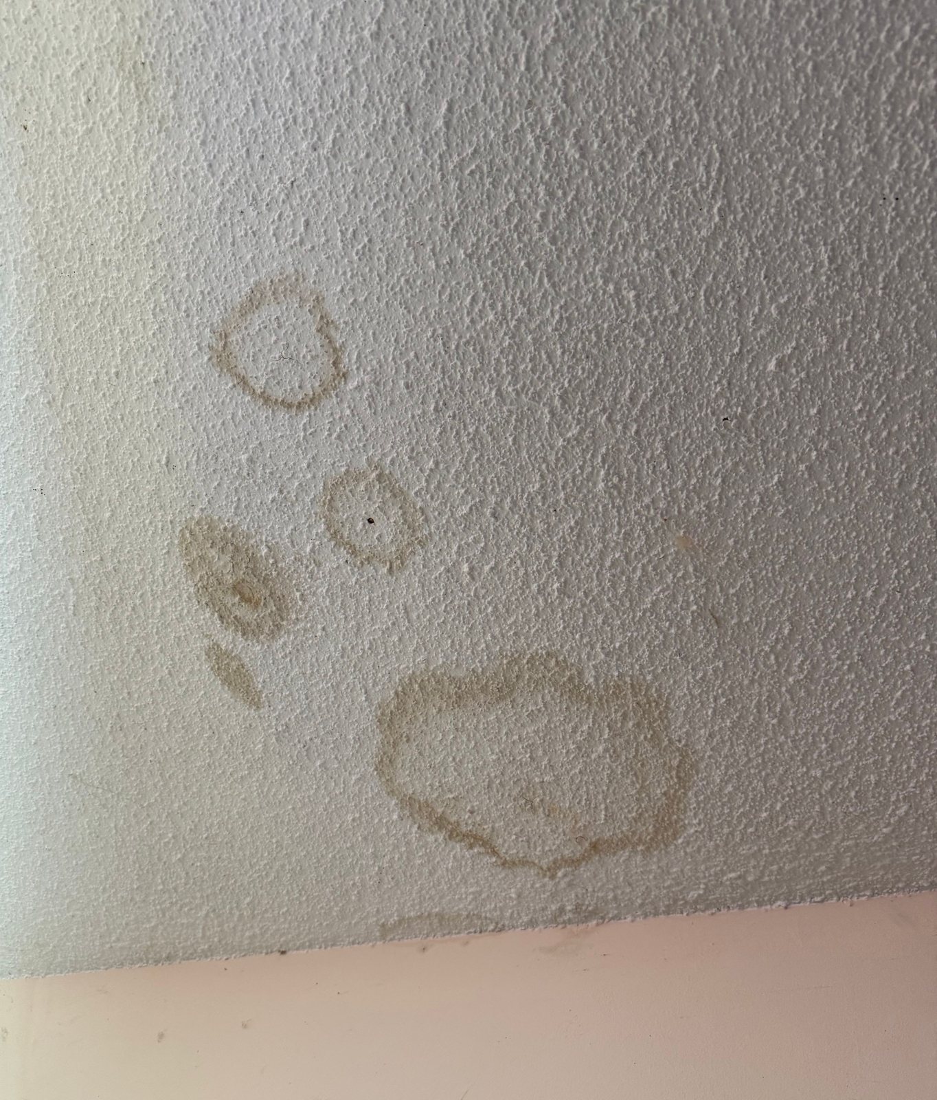 Brown ring-shaped water stains on a white bedroom ceiling
