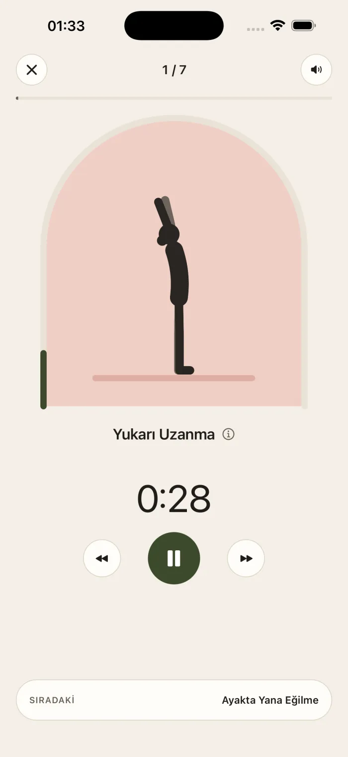 Elasta Oynatıcı