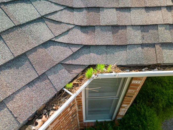 Gutters and pressure washing by BugPro