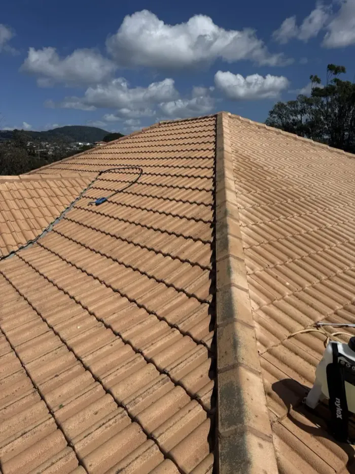 Concrete tile roof after cleaning