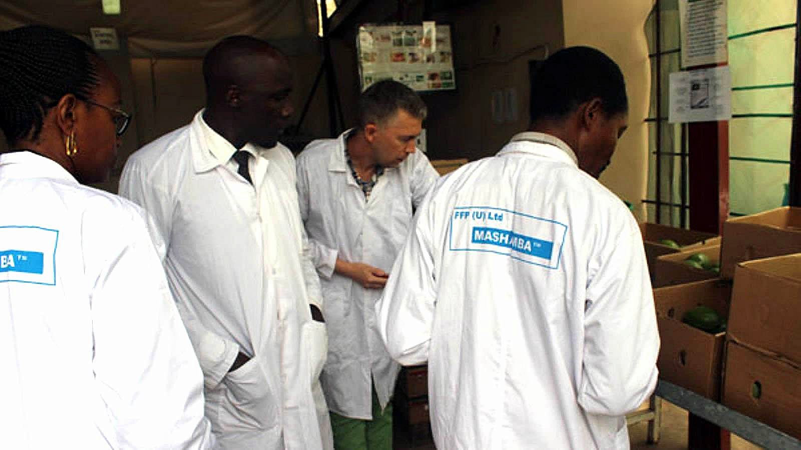 White-coated Mashamba quality team inspecting fresh-produce export cartons before dispatch, the vetting guide to choosing a trusted Ugandan produce exporter