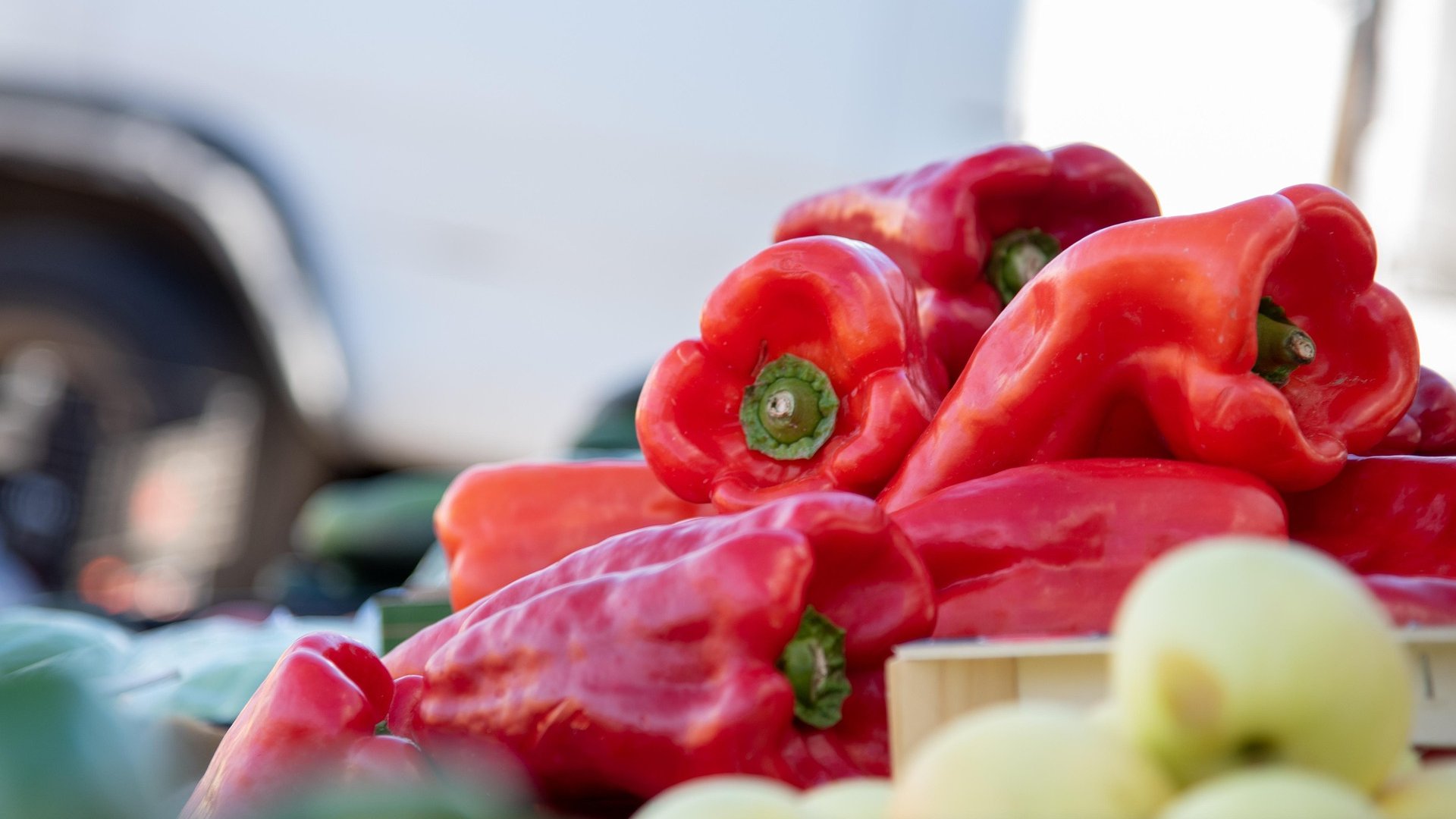 Fresh red peppers, a Ugandan export crop airfreighted to Saudi Arabia buyers, on Mashamba's Saudi Arabia market guide card