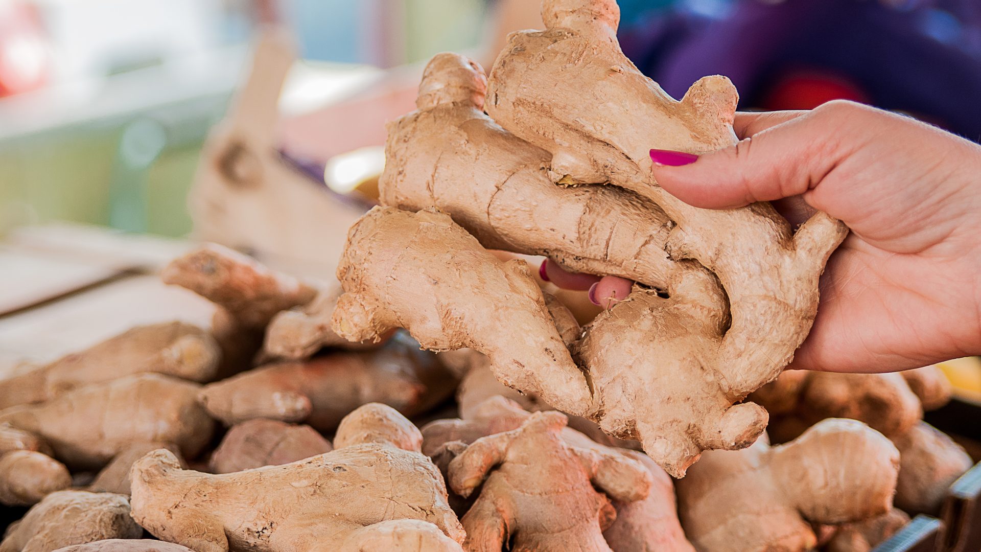 A buyer selecting fresh ginger at a produce market, a strong Ugandan export line for Dutch importers, on Mashamba's Netherlands market guide card