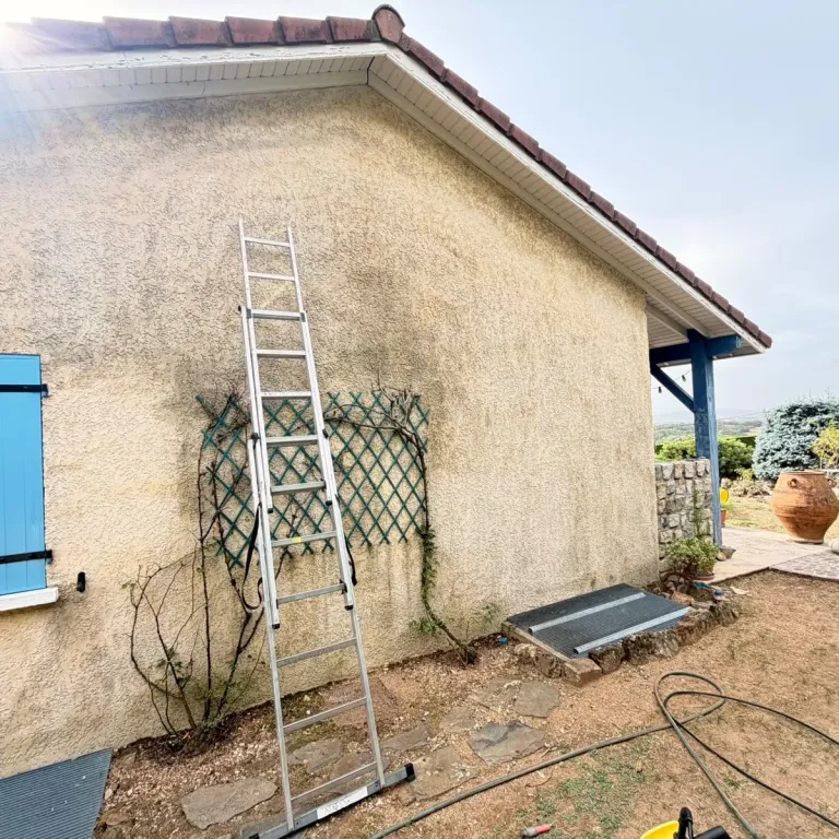 Nettoyage façade à Beaurepaire, mur en crépi couvert de traces vertes avant démoussage