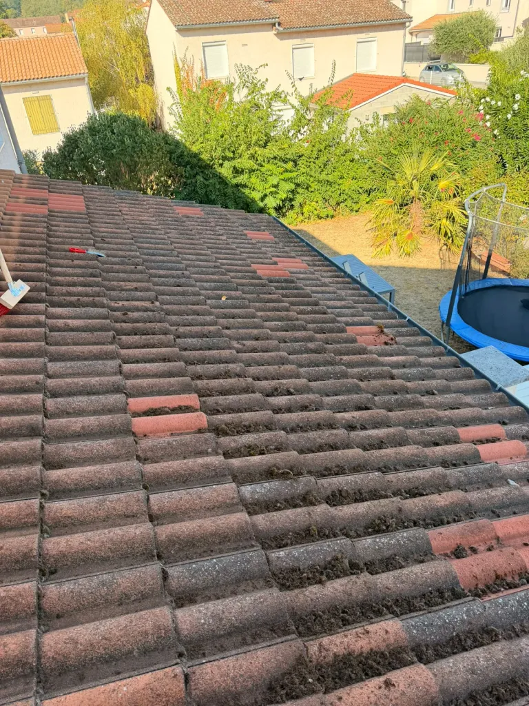 Démoussage toiture à Beaurepaire, mousse installée entre les tuiles canal