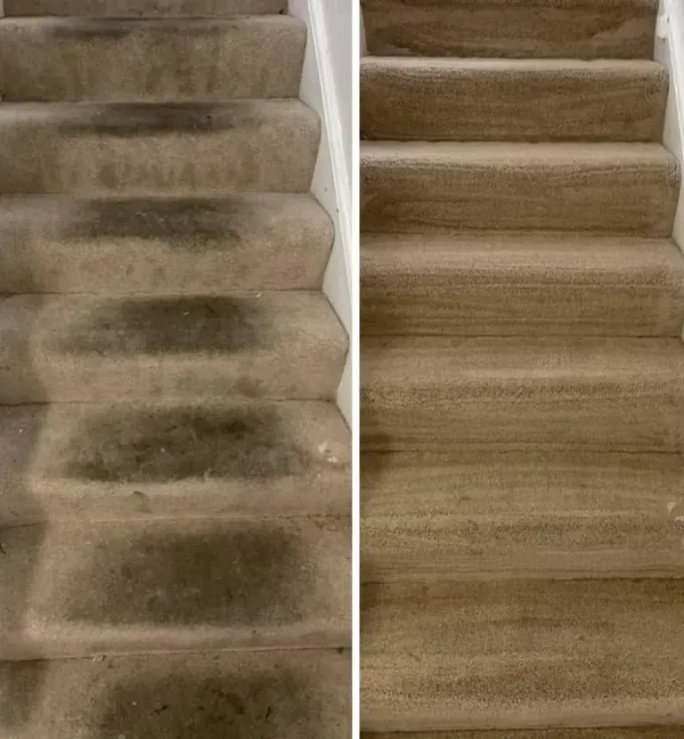 Carpeted staircase split into a soiled before side and a clean after side