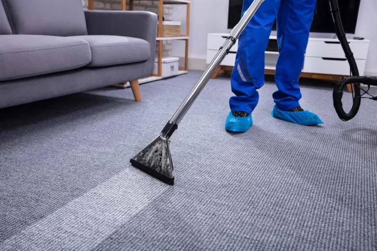 Technician steam cleaning a grey patterned living room carpet, with a clean stripe where the wand has passed