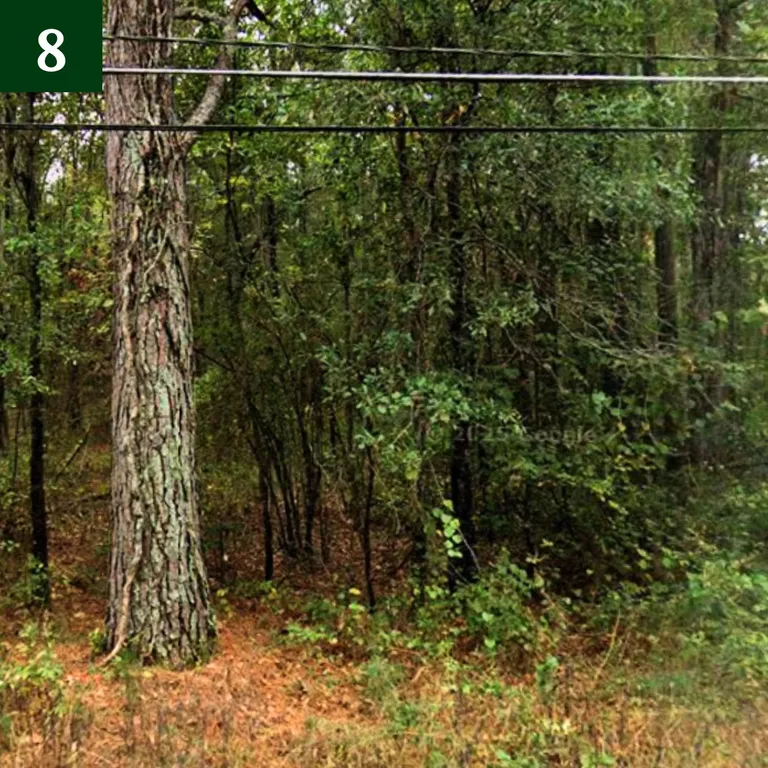 Garden, Bee Farm, Homestead, Investment lot in Pine Bluff