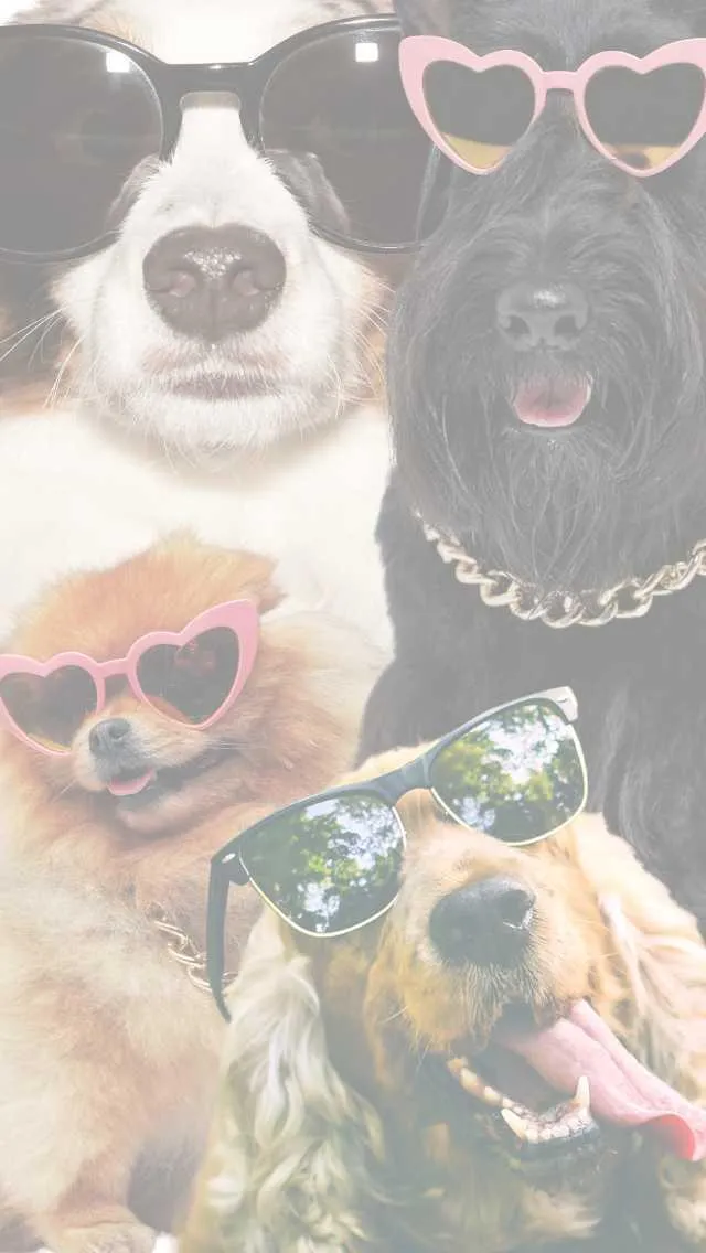 Jessicas Dog Walking Services dog grooming listing photo