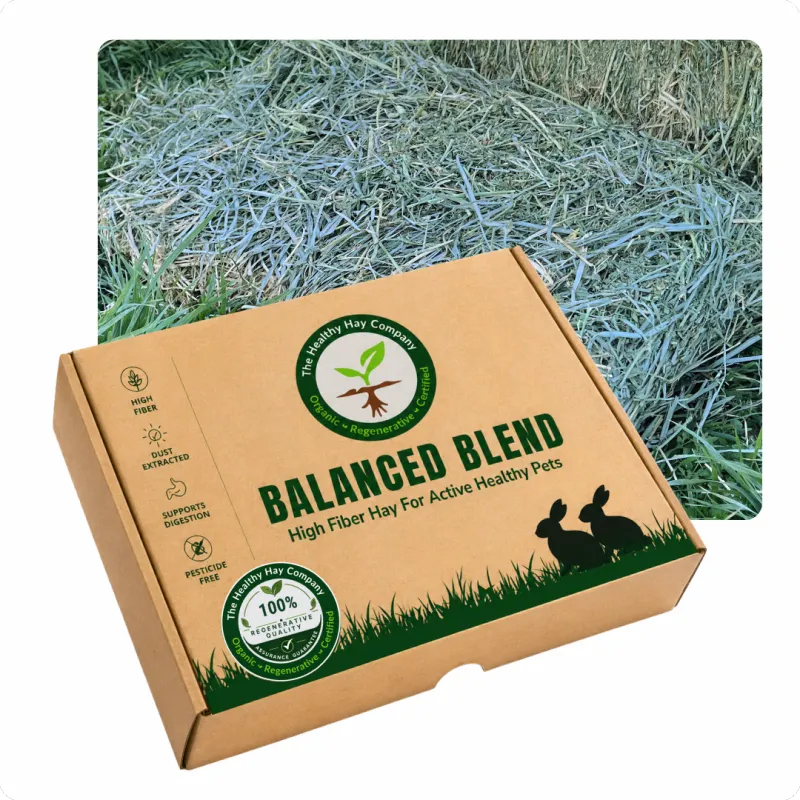 Promo Balanced Blend small
