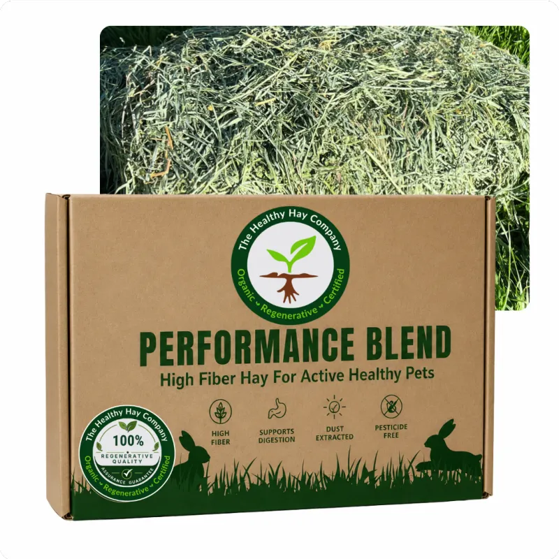 Promo Performance Blend Large