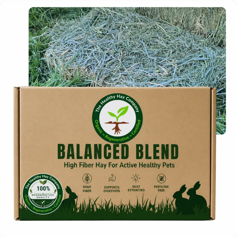Promo Balanced Blend Large