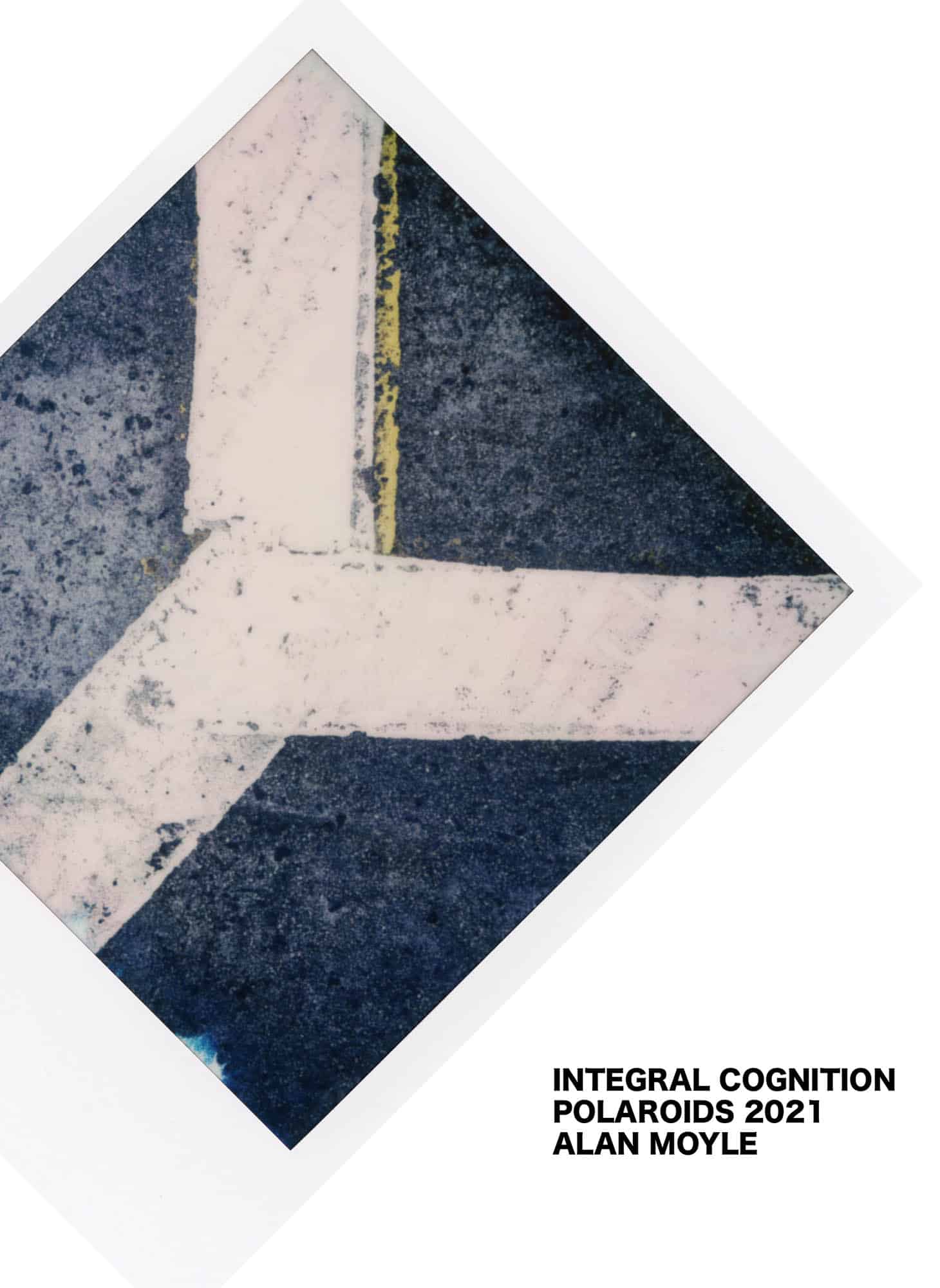 Integral Cognition - Limited Edition Book