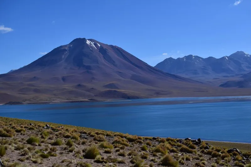 Lagunas Altiplânicas + Laguna Chaxa + Toconao | VoáChile — Atacama