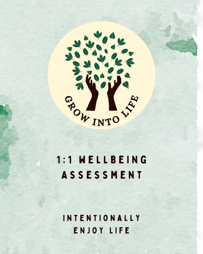 1:1 Wellbeing Assessment 90 mins
