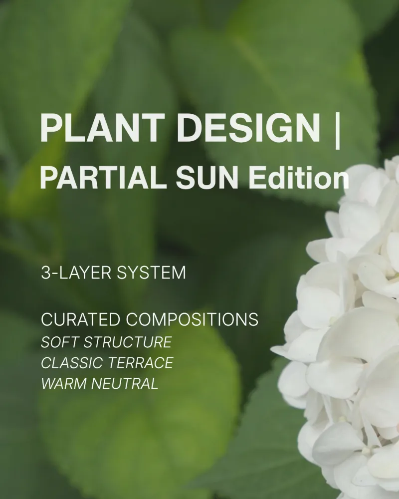 08 PLANT DESIGN | PARTIAL SUN Edition
