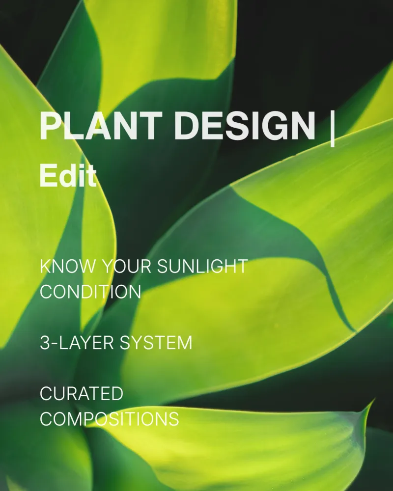 06 PLANT DESIGN | Edit